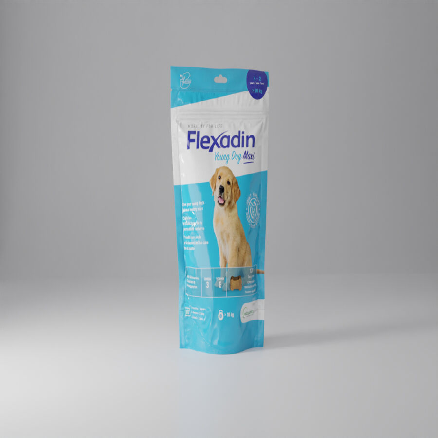 Vetoquinol Flexadin Young Maxi Condroprotetor para cachorros, , large Imagem n&uacute;mero 6